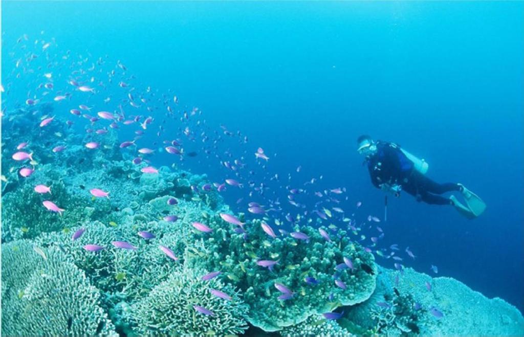 Badian Island Wellness Resort Bagian luar foto